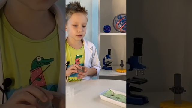 Как прорастить кукурузу дома? #детям #популярноевидео смотреть онлайн