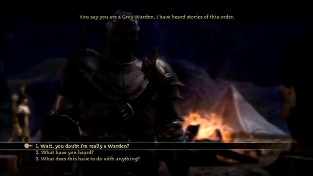 Dragon Age: Origins: RPF — Pt. 13 — DPAG смотреть онлайн