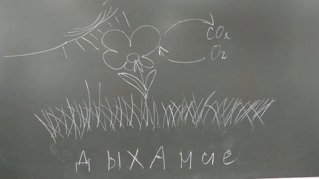 профессия будущего агроном смотреть онлайн