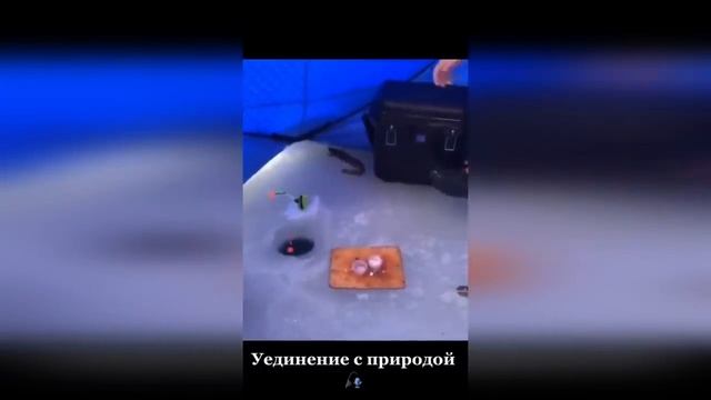 Тик ток приколы 10 минут смеха: под видио есть ссылка на очень увлекательную игру смотреть онлайн