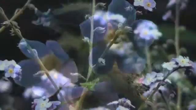 Forglem mig ej смотреть онлайн