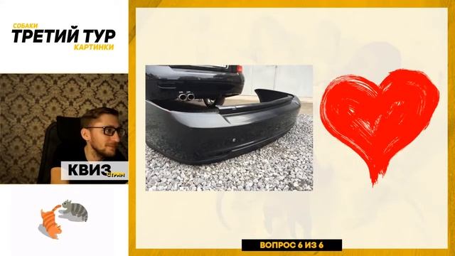 КВИЗ 14.06.2020 / Картинки / Собаки / #THEALEXTIMES смотреть онлайн