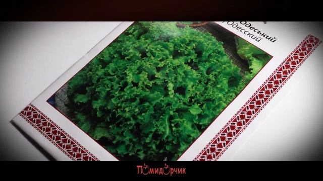 Семена Салат Кучерявец Одесский профпакет - Помидорчик смотреть онлайн