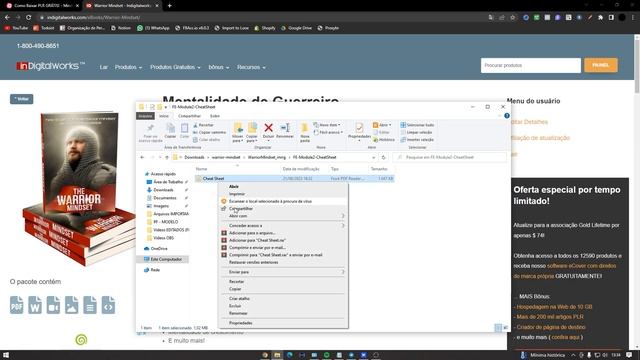 ATUALIZADO 2023! COMO BAIXAR PLR de GRAÇA EM 2 MINUTOS *só copiar e colar* смотреть онлайн