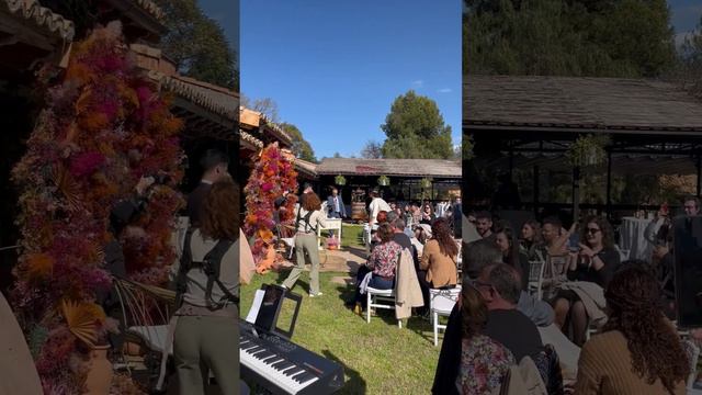 Música para bodas y eventos clarinete y piano смотреть онлайн