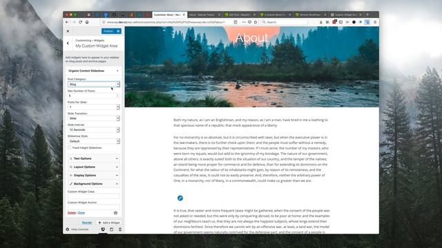 WordPress 5 Widget Area Block Demo смотреть онлайн