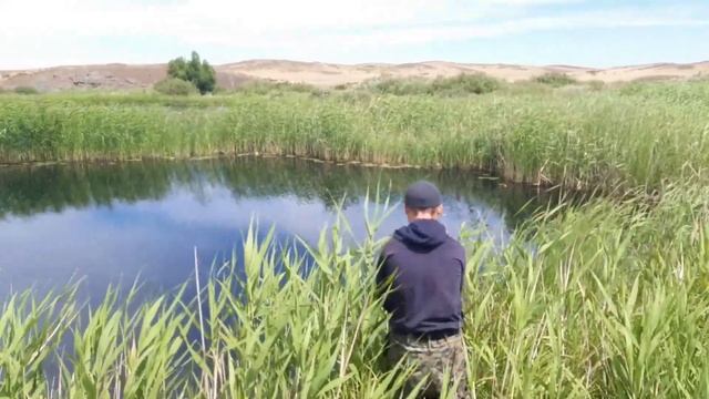 Неудачная рыбалка на морду(вершу). На яве до речке . смотреть онлайн
