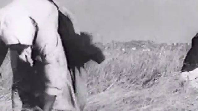 Русское экономическое чудо. Земля и воля смотреть онлайн