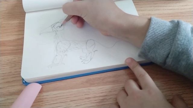 рисуем грифона смотреть онлайн