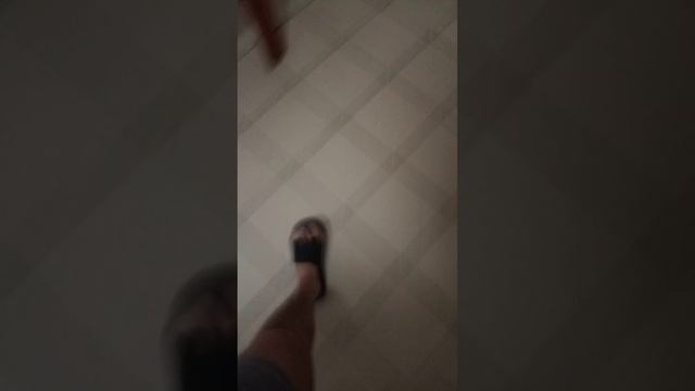 fullmetal alchemist brotherhood review #fullmetalalchemistbrotherhood #shorts смотреть онлайн