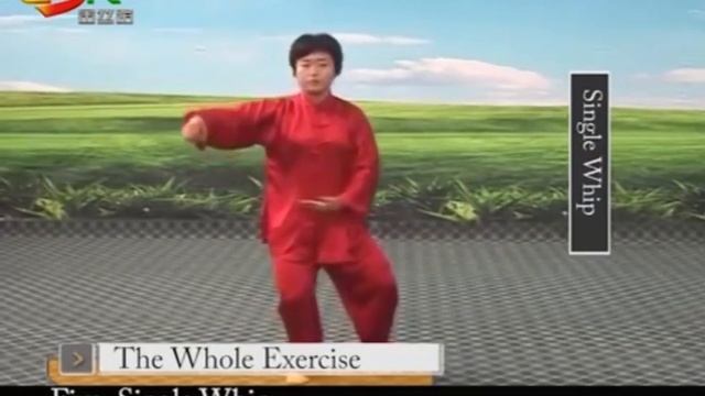 Тайцзицюань (стиль Чэнь, 18 форм, уроки и обучение) смотреть онлайн