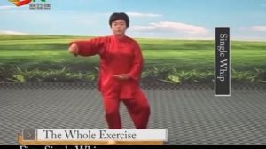 Тайцзицюань (стиль Чэнь, 18 форм, уроки и обучение)