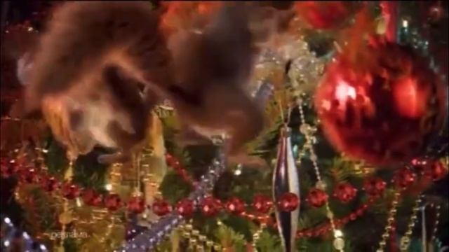 Новогодние заставки первого канала 2019-2020 белки #12 белки прыгают по ёлке смотреть онлайн