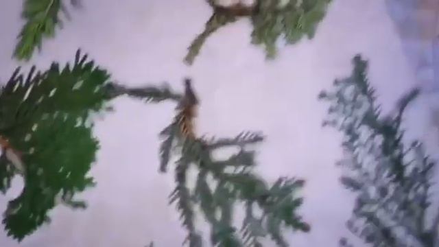 Дневник юного натуралиста (заполнение) смотреть онлайн