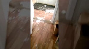 Амортизаторы Monroe. Плохое качество, брак или подделка?