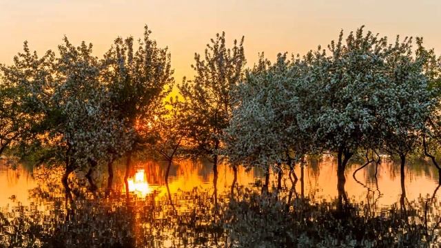 Тюмень. 1-ый заречный микрорайон. Весна, потоп. смотреть онлайн