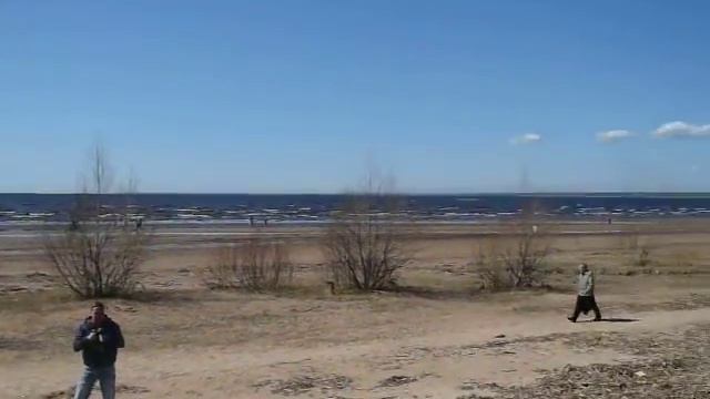 Финский залив. Сестрорецк смотреть онлайн