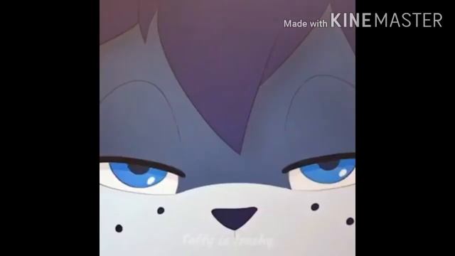 FSO POLONEZ NEEDS YOU!