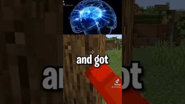 minecraft galaxy brain meme tiktok 3 смотреть онлайн