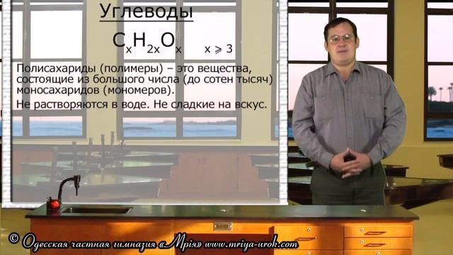 Лесные приключения и путешествия в сказку