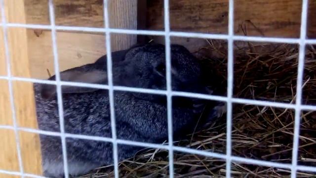 Быт активистов 20.08.2016 смотреть онлайн