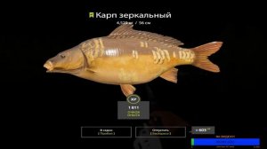 Русская Рыбалка 4___Медвежье озеро___Качаем донки!))