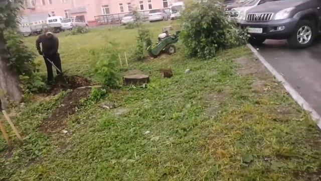 Новосибирск Фрезеровка пней от деревьев Тополь смотреть онлайн