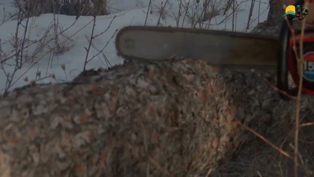 Даджаль .То о чем мы не слышали