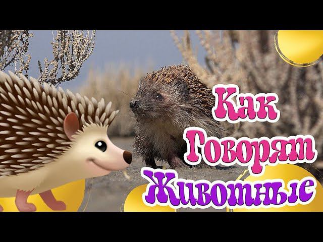 КАК ГОВОРЯТ ЖИВОТНЫЕ + РАЗВИВАЮЩИЕ МУЛЬТИКИ ДЕТЯМ + ОБУЧАЮЩИЕ И ПОЗНАВАТЕЛЬНЫЕ ВИДЕО ПРО ЖИВОТНЫХ