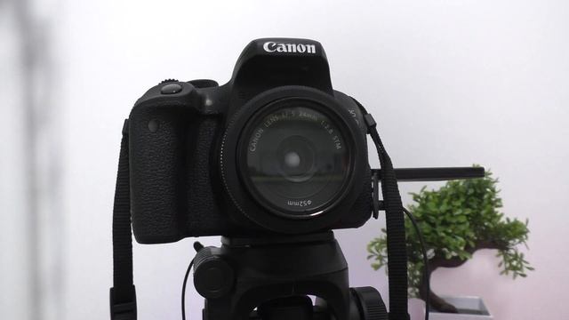 6 месяцев с Canon EOS 800d ► опыт использования смотреть онлайн
