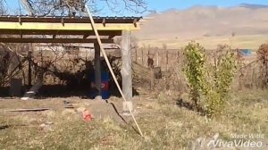 Как защитить деревянные столбы от гниение!