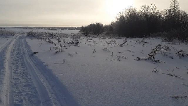 Где живет лис? смотреть онлайн