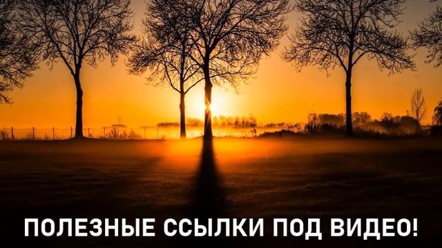 Кристаллическое Сознание и Ваши Световые Тела ∞ 9-й Арктурианский Совет смотреть онлайн