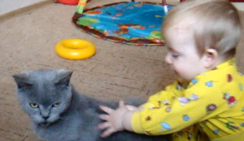 Мяу-кис и Никита.mp4 смотреть онлайн