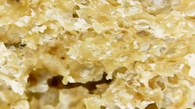 Хлеб под микроскопом.Bread under the microscope. смотреть онлайн