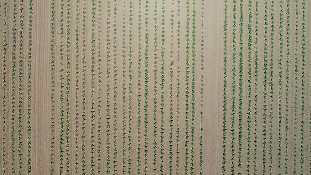 5G-связь это как табак: учёные доказали вред высокочастотного излучения, но им заткнули рты смотреть онлайн