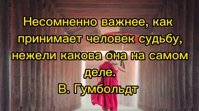 Цитаты про Судьбу... Мудрые мысли Мудрых людей смотреть онлайн