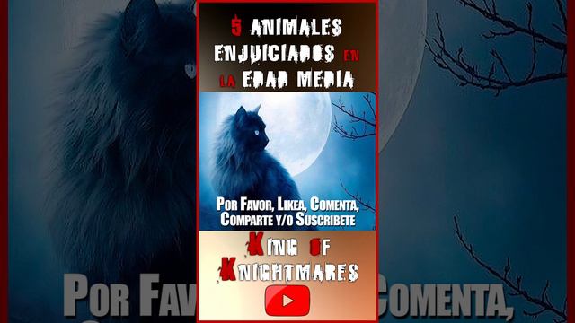 🐈⬛ GATOS NEGROS - 4/5 ANIMALES ENJUICIADOS en la EDAD MEDIA смотреть онлайн