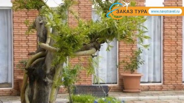 RCHEULI MARANI 3* Грузия Кахетия обзор – отель РЧЕУЛИ МАРАНИ 3* Кахетия видео обзор смотреть онлайн