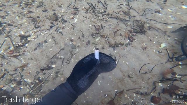 Nokta Makro Simplex+ DOES IT WORK IN SEAWATER? Metal Detecting Underwater