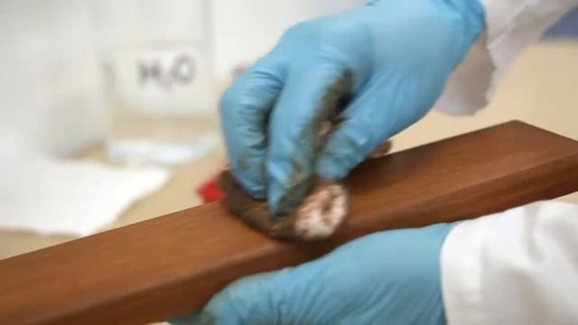 МАСЛА И ВОСКИ BIOHEL HELIOS смотреть онлайн