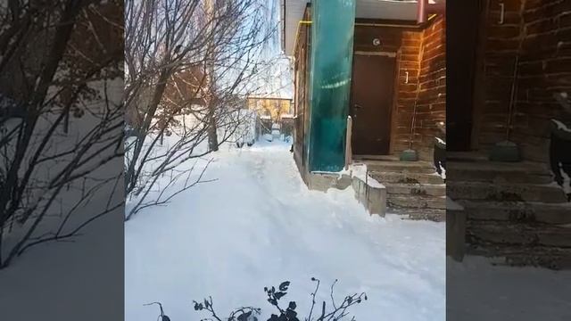 Фрола смотреть онлайн