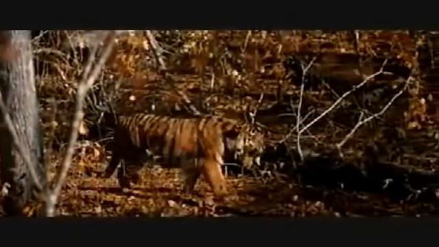 Top 20 Russian Movies смотреть онлайн