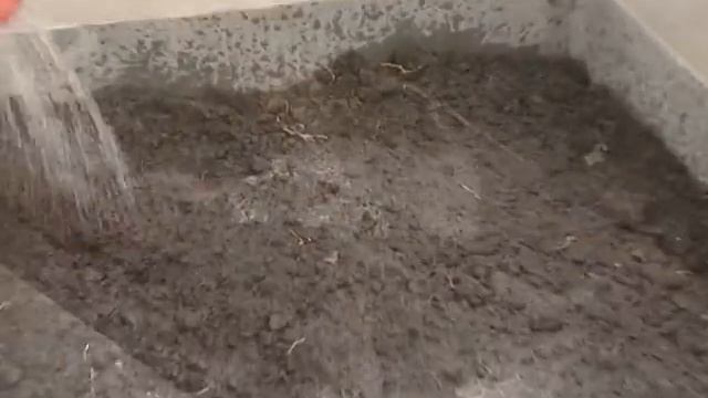 ПЕРСЕЛЬ 6 н смотреть онлайн