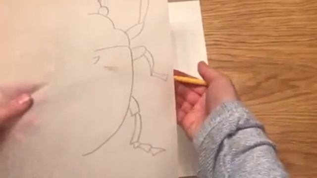 Tracing Paper Symmetry Drawing Part 1 смотреть онлайн