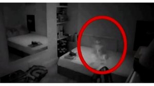 Что делать если беспокоит домовой?! #рекомендации