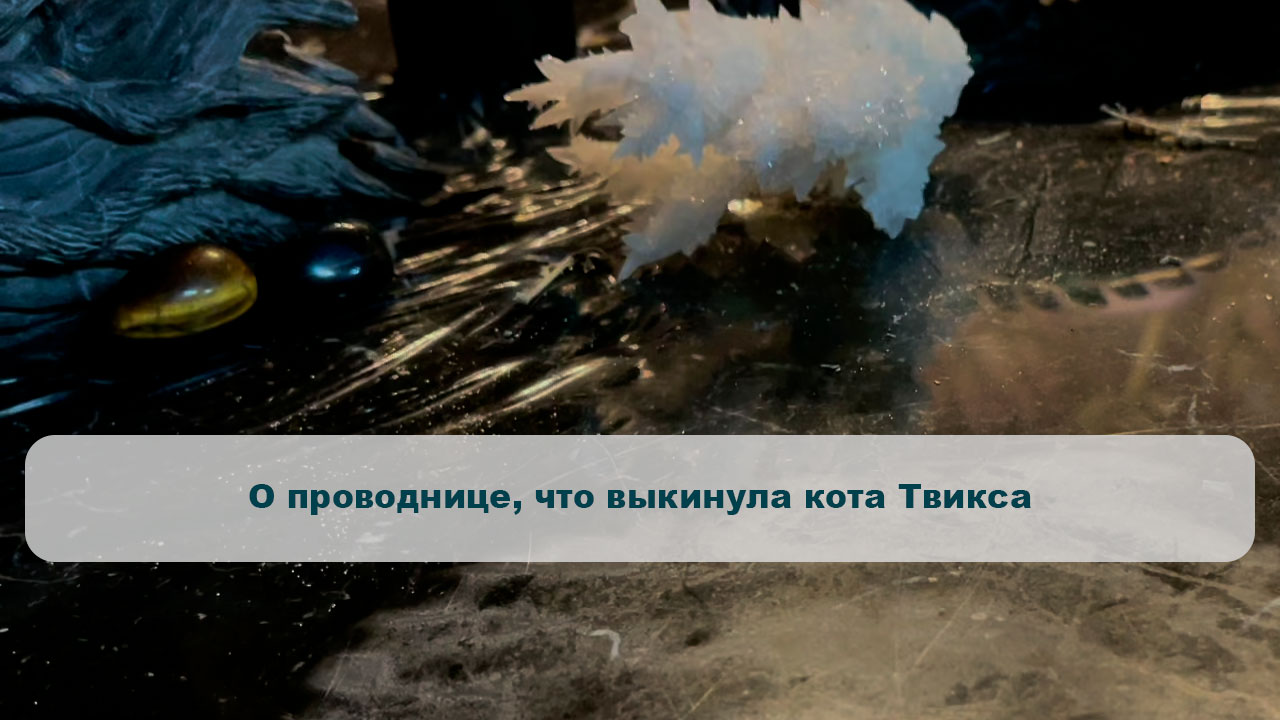 О проводнице, что выкинула кота Твикса