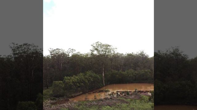 Organic Farm Land For Sale: South Burnett смотреть онлайн