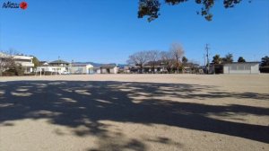 Как живут в японской деревне Тёплый приём семьи мужа японца!   ЯПОНИЯ VLOG