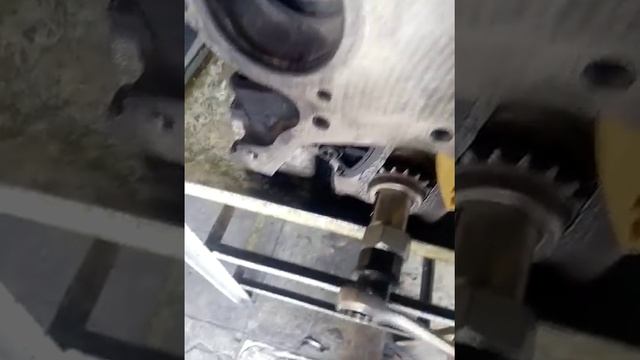 Sincronización cadena de distribución motor zetec 1.6 de ford FIESTA смотреть онлайн